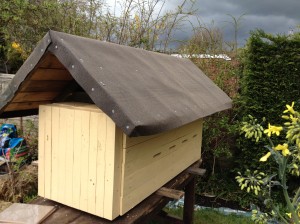 hive with large roof